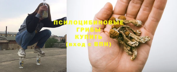 кокс Бородино